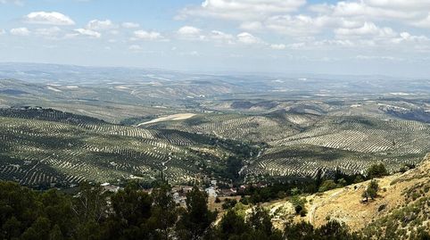 Foto 3 de Edificio en venta en De la Constitución, La Iruela, Jaén