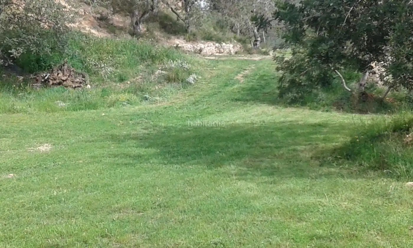 Industrial land for sale in Carrer de la Via 19, imagen 5