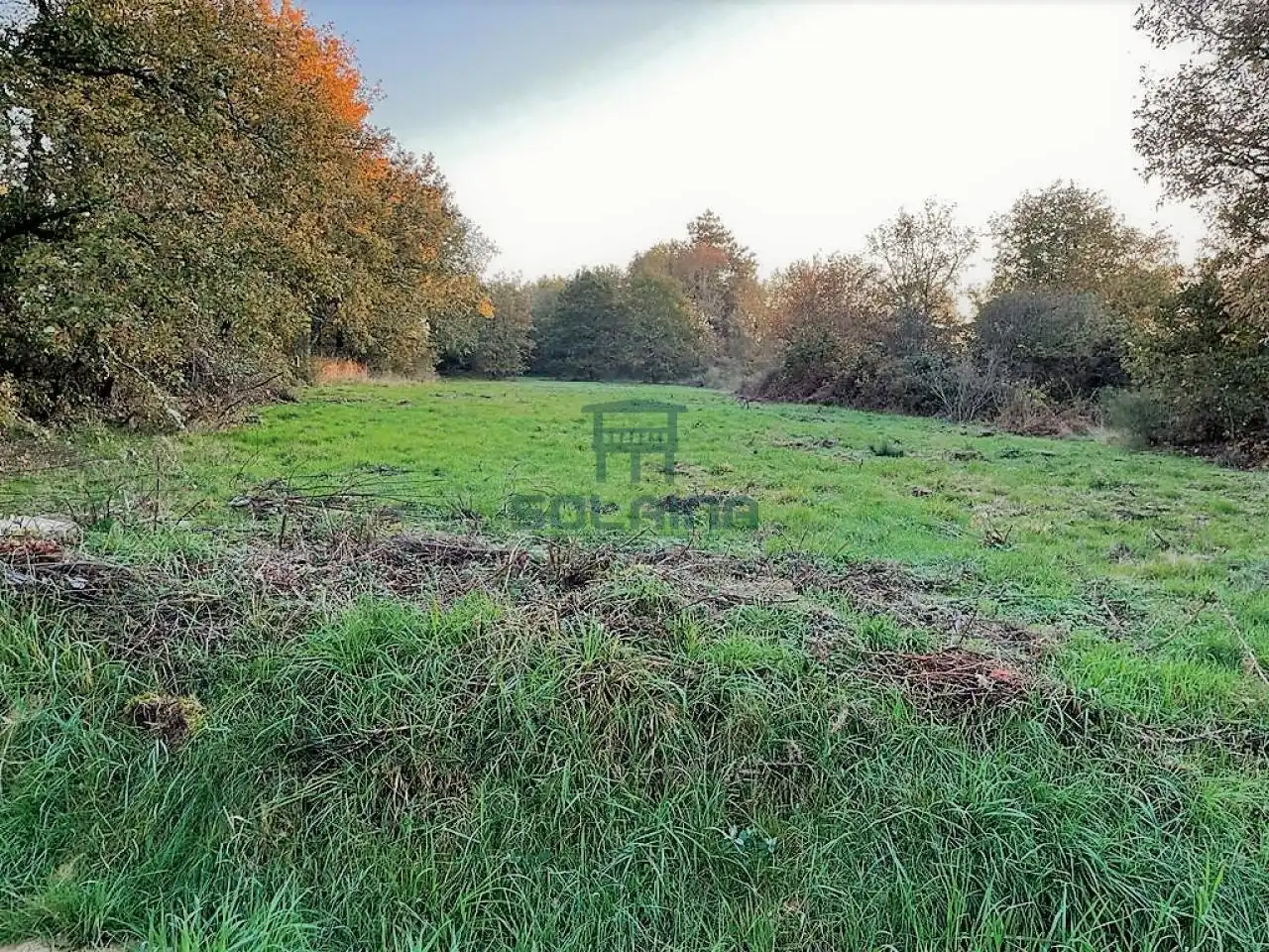 Terrenos y solares en venta en O Pereiro de Aguiar, imagen 5