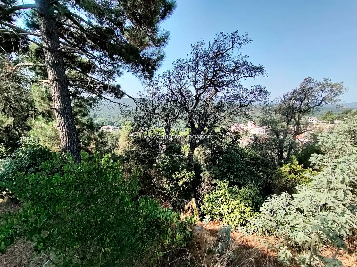 Residential land for sale in Carrer Petúnia 7, imagen 4