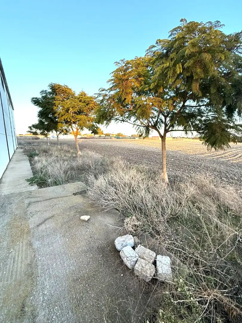 Rural land for sale in Ctra Sanlúcar - Cuatro Pinos, imagen 14