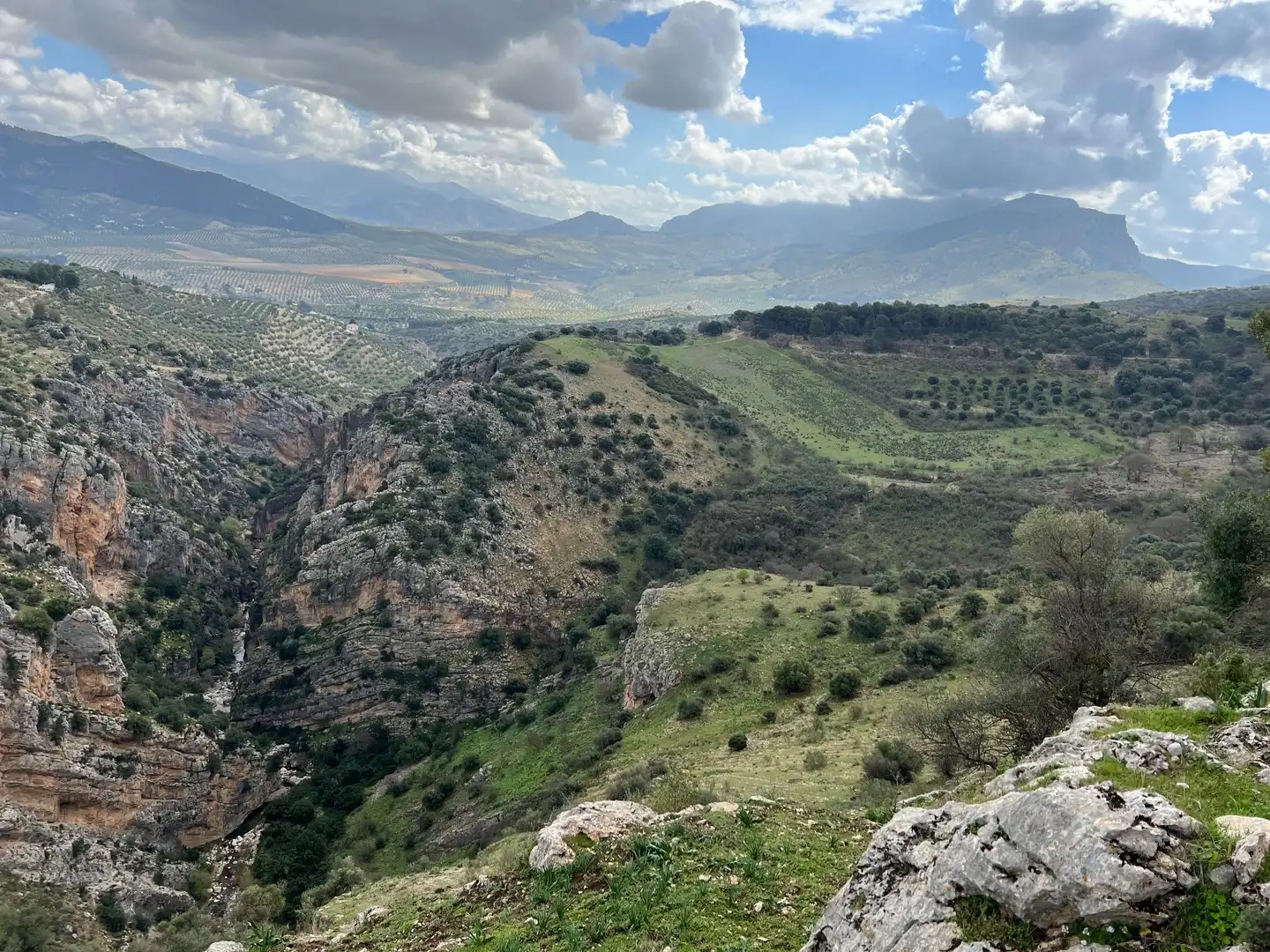 Vista exterior de Terreno en venta en Jaén