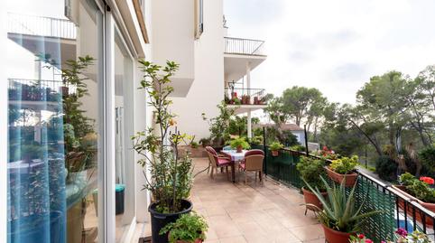 Photo 4 of Flat for sale in La Bonanova, Illes Balears