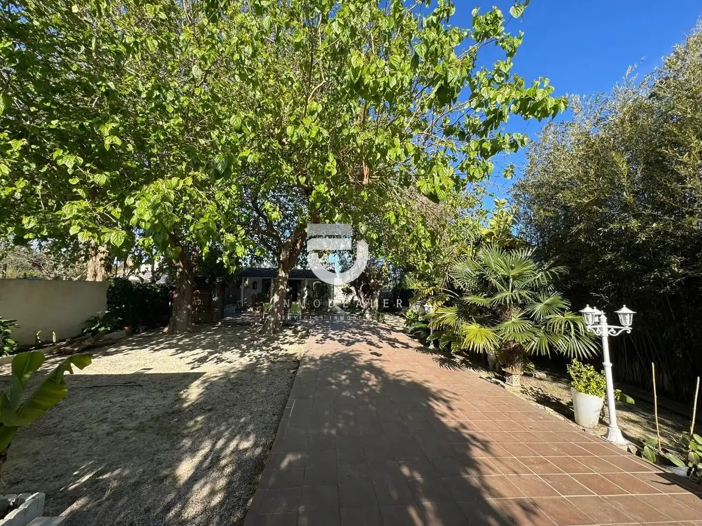 Vista exterior de Casa o chalet en venta en Daimús con Jardín privado, Terraza y Piscina