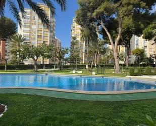 Swimming pool of Apartment for sale in Benidorm  with Air Conditioner, Heating and Private garden