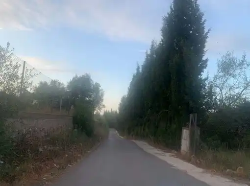 Rural land for sale in Partidas Fornas, Pol 11, imagen 10