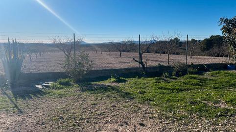Photo 5 of Land for sale in C-11, 11, Zarzadilla de Totana, Lorca