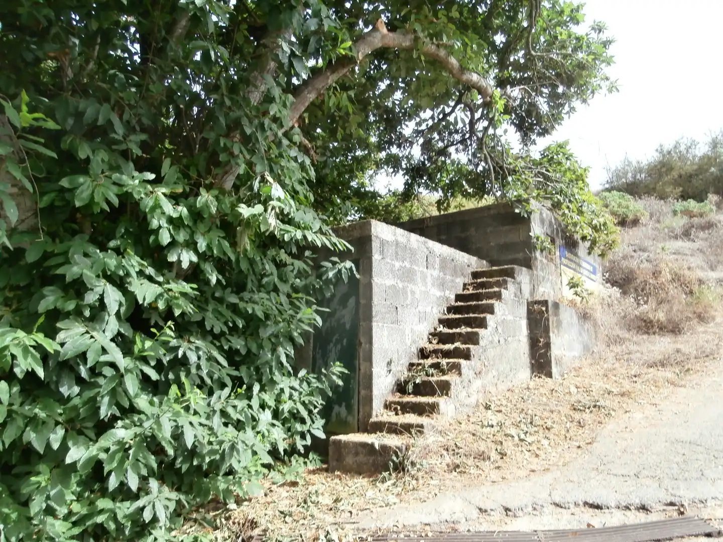 Finca rústica en venta en Camino Lomo el Marco, 41, Moya (Las Palmas)