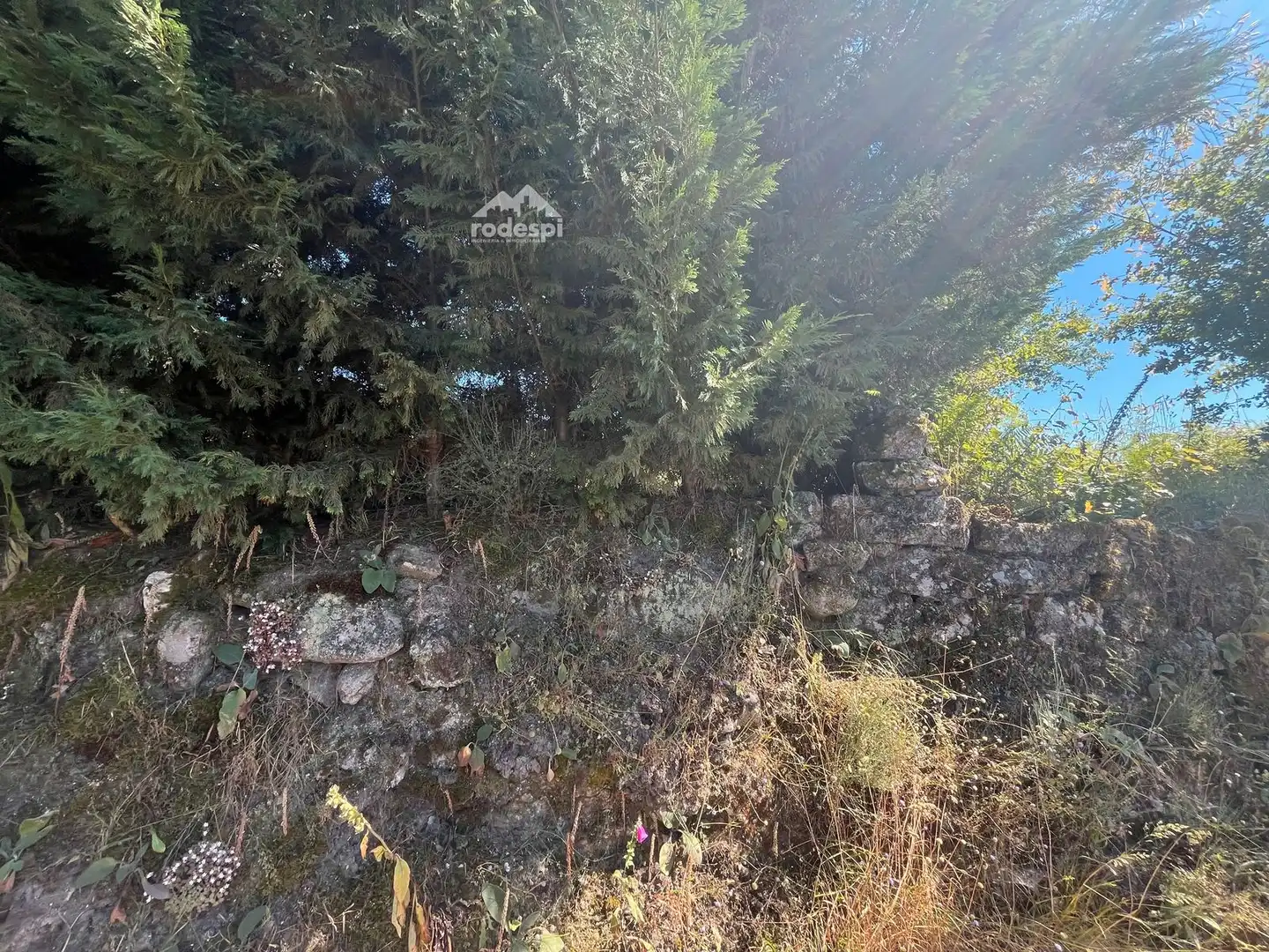 Casa o chalet en venta en Piñor con Trastero y Amueblado