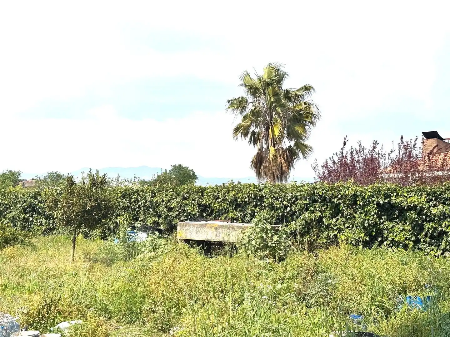 Rural land for sale in Santa Oliva, imagen 2