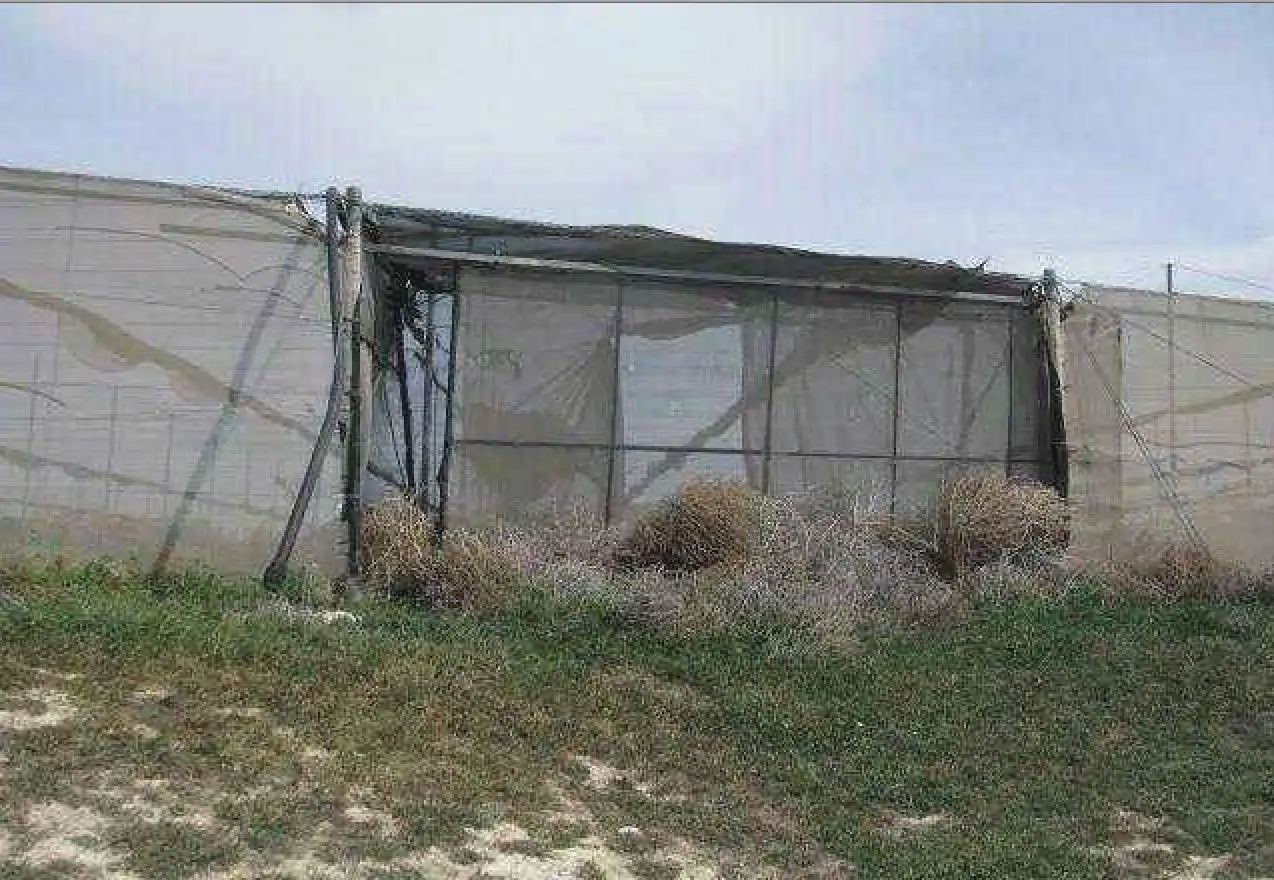 Rural land for sale in Cm Orce, imagen 9