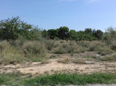 Rural land for sale in CERDERA ALTA