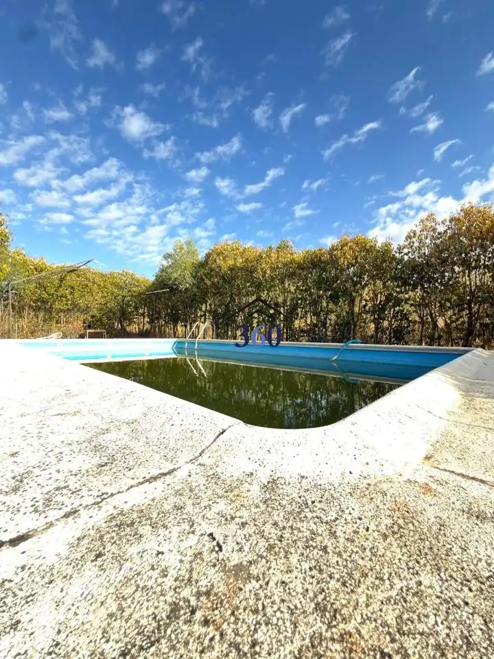 Piscina de Finca rústica en venda en Nuevo Cáceres