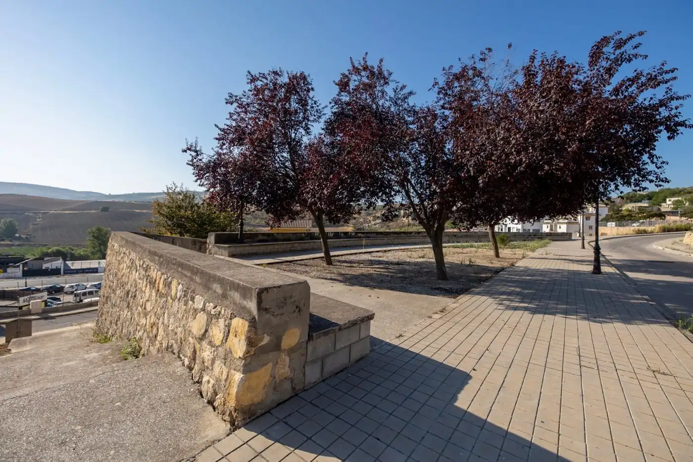 Terreny residencial en venda a Alhama de Granada, imagen 8