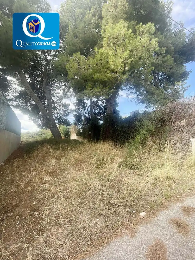 Terreno residencial en venta en Peña de las Águilas, imagen 3