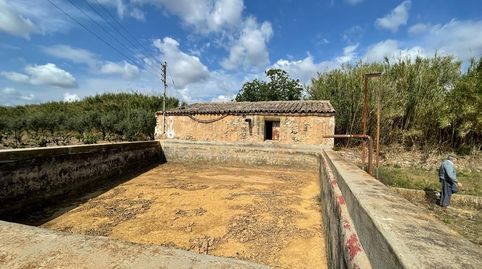 Parcela de 3 hanegadas, image 3