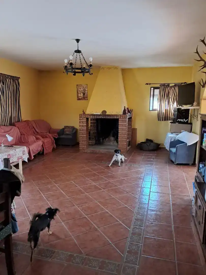 Sala de estar de Casa o chalet en venta en Montoro