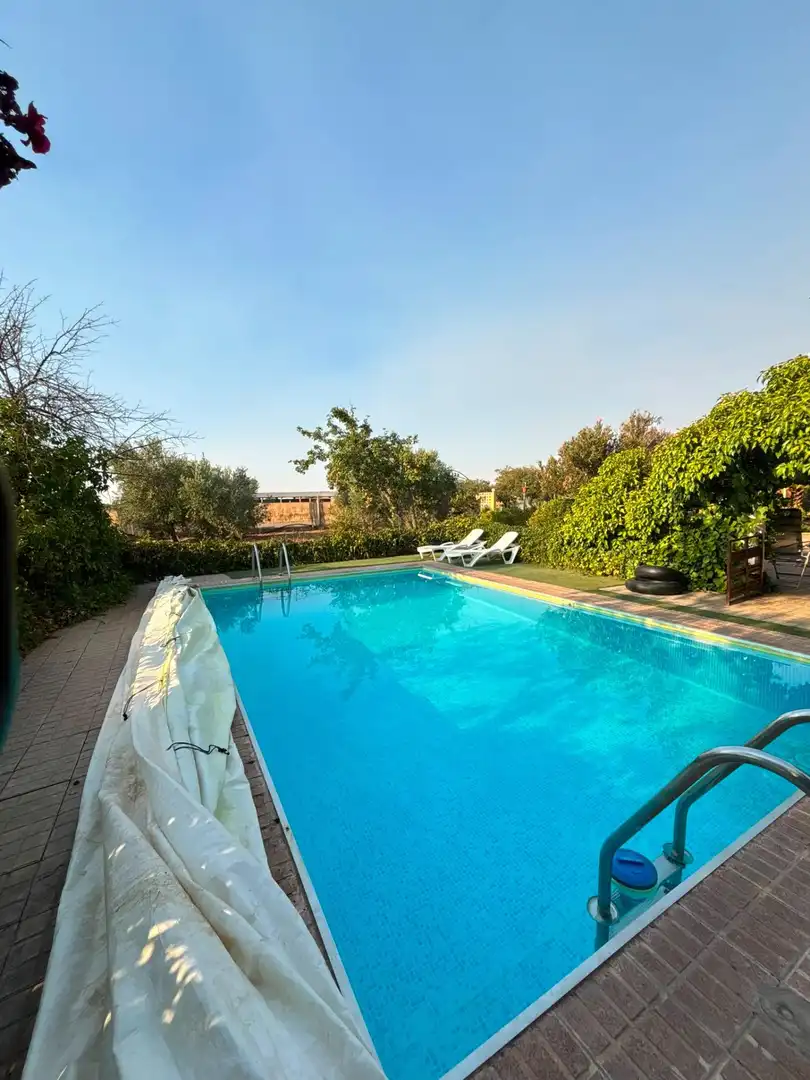 Piscina de Casa o xalet en venda en Valdepeñas