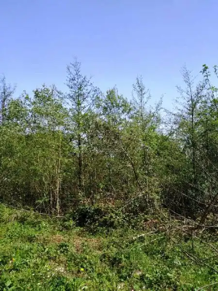 Residential for sale in Alonsotegi