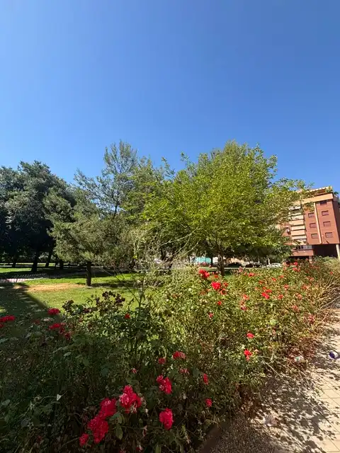 Apartament de lloguer a Calle Torre de Peralada, 4, Castaño - Mirasierra