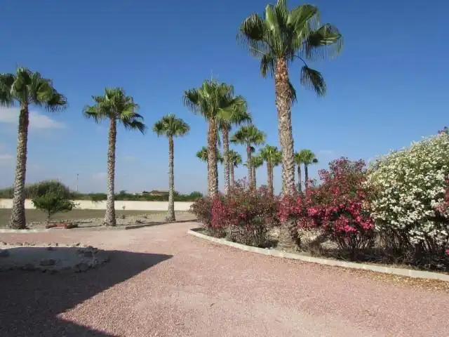 Country house with pool for sale in Dolores, imagen 33