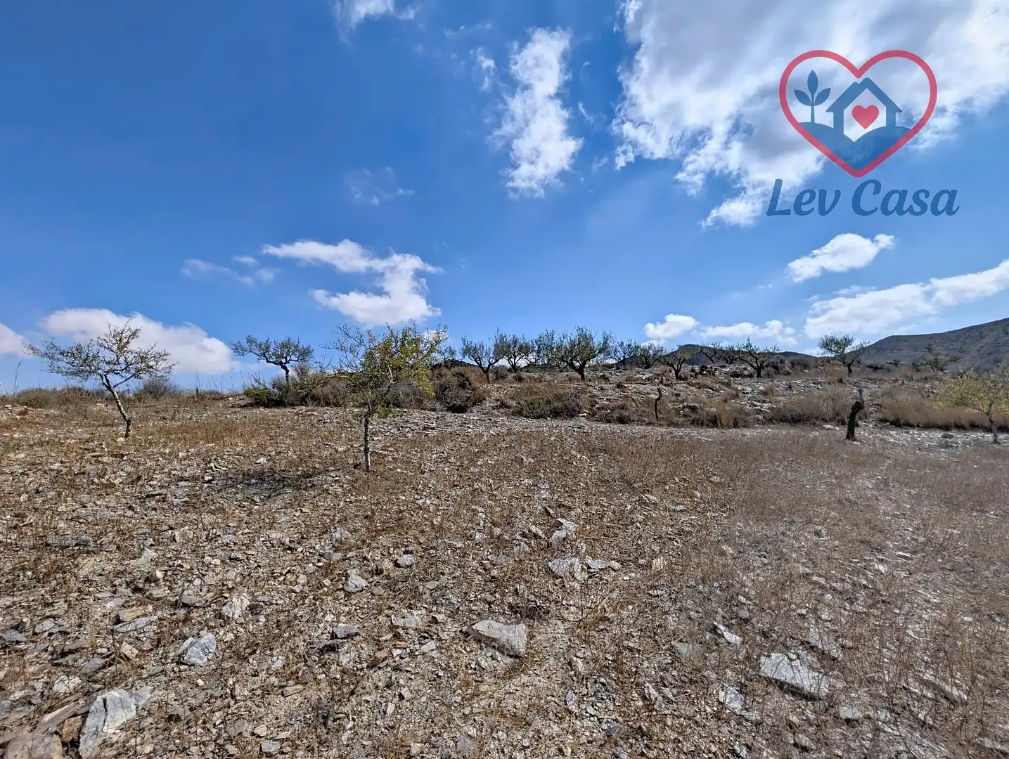 Terreno rustico in vendita a Playa del Galán, imagen 23