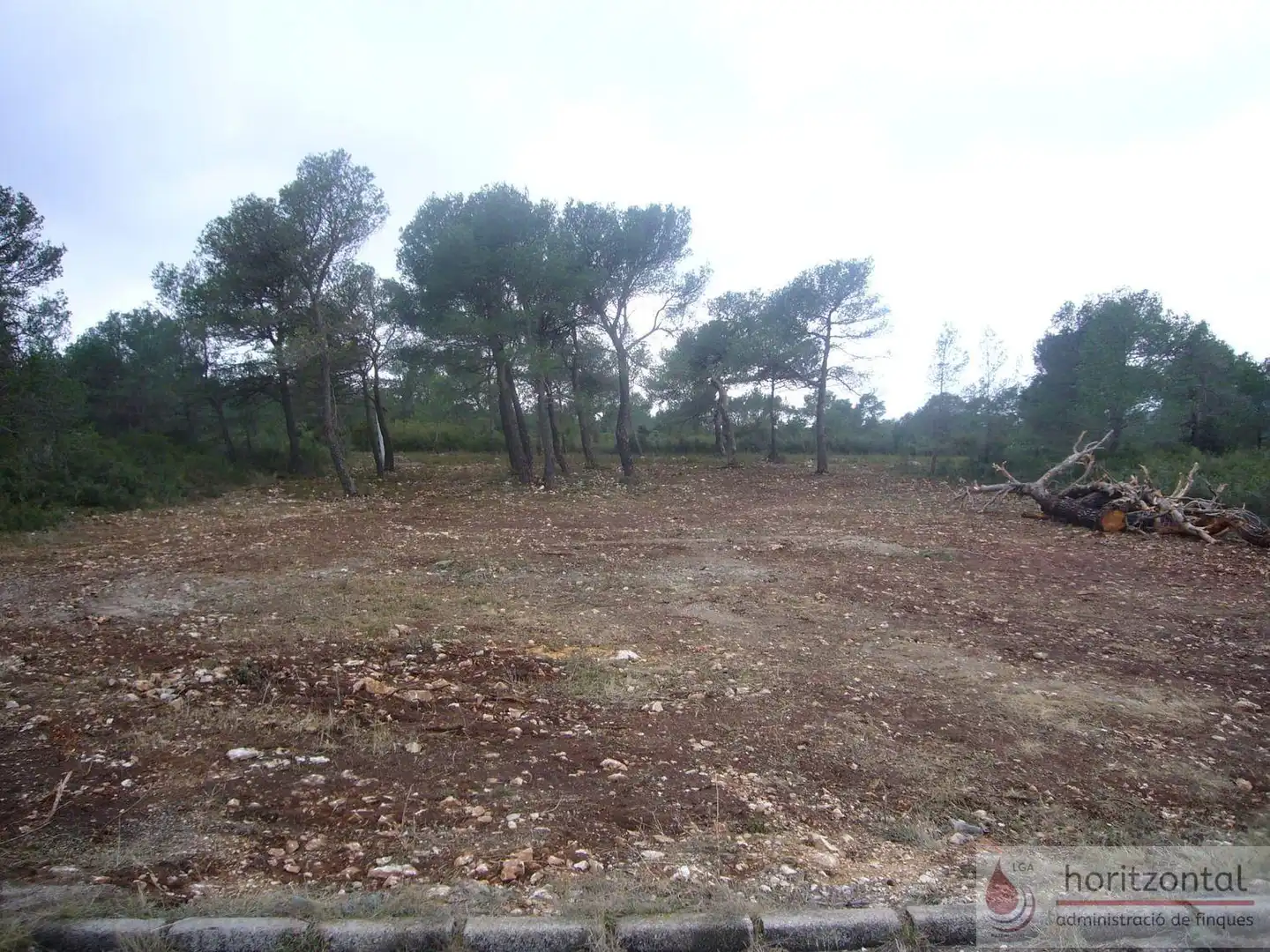 Terreno residenziale in vendita a Andalusia 349, imagen 7