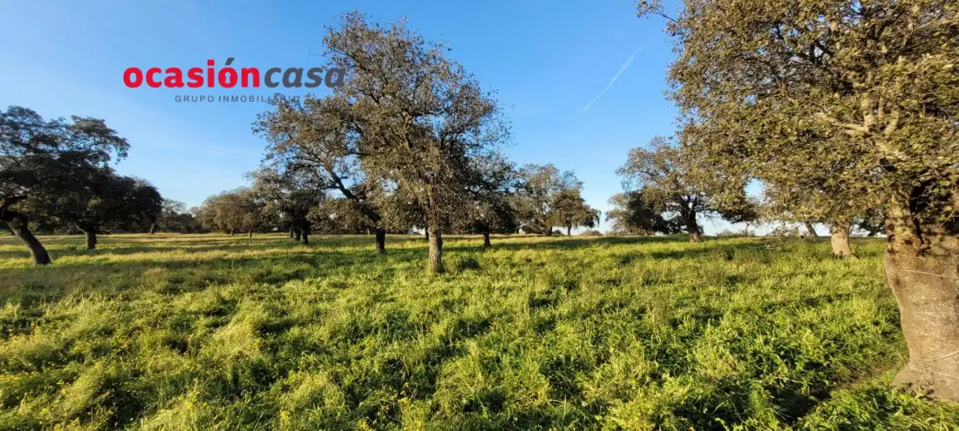 Casa rústica en venda a Pozoblanco, imagen 9