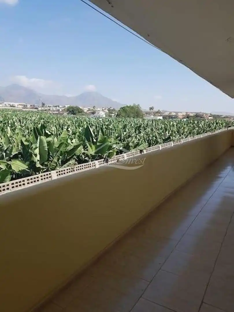 Vista exterior de Ático en venta en Adeje con Parquet, Terraza y Piscina