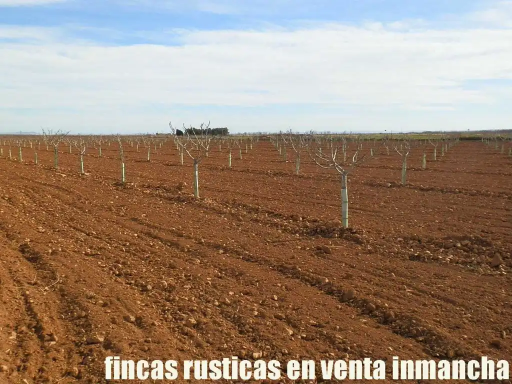 Jardín de Terreno en venta en Albacete