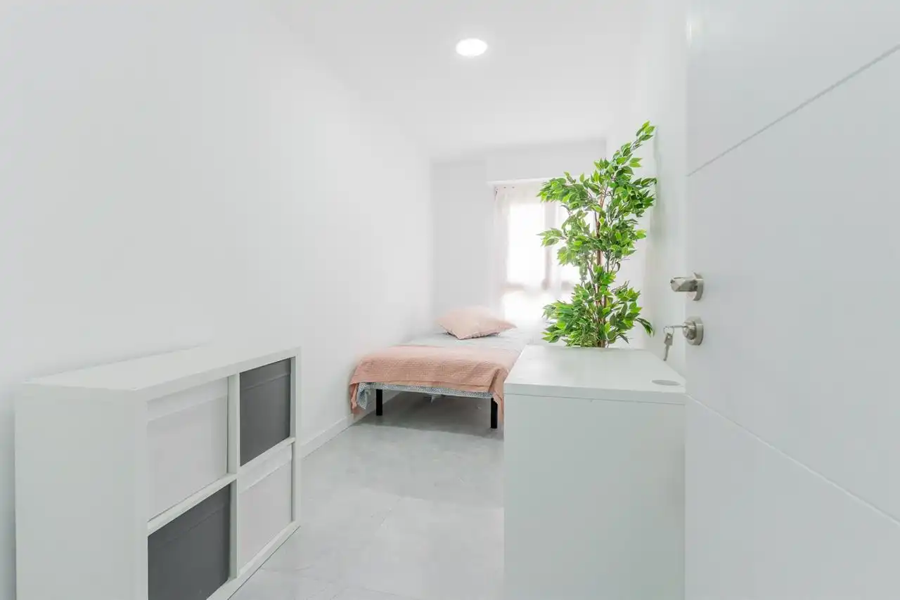 Room in Casco Histórico