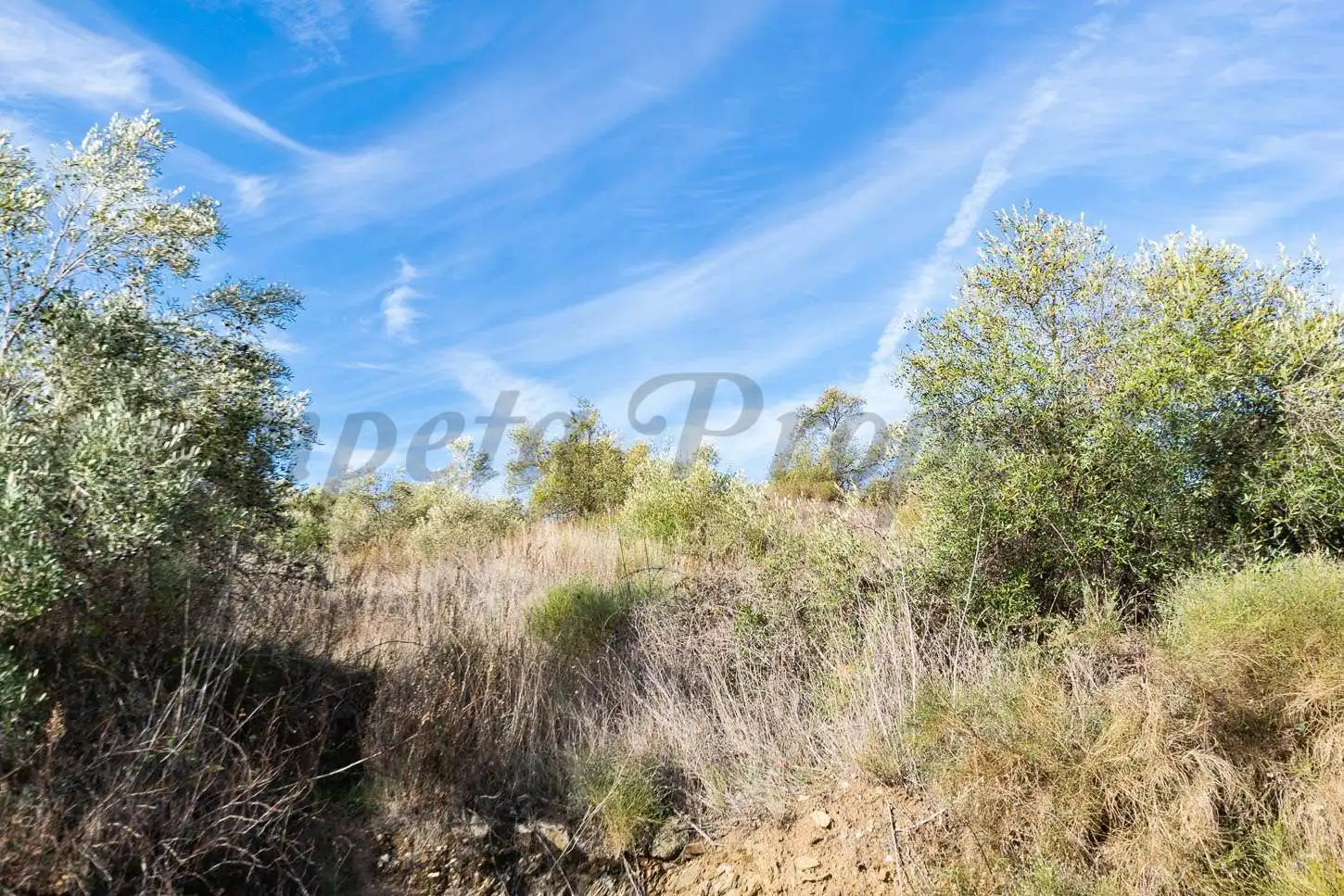 Rustikales Grundstück zum Verkauf in Torrox Pueblo, imagen 4
