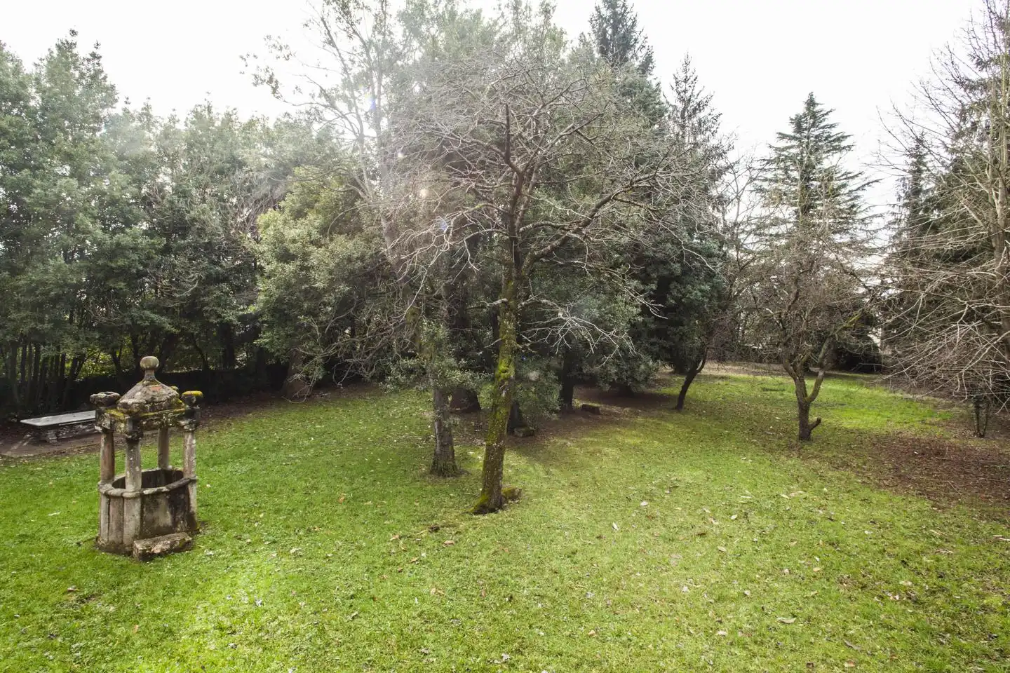 Finca rústica en venda a Del Rebollín, 1, Noreña