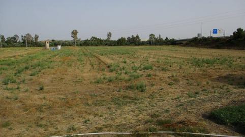 Photo 2 of House or chalet for sale in Parque Atlántico - Ronda este, Cádiz