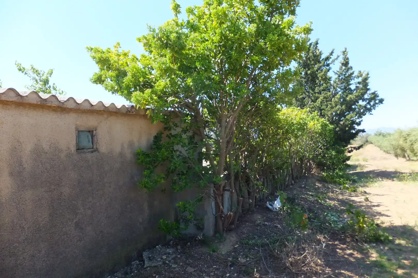 Terreno rústico en venta en Botarell, imagen 18
