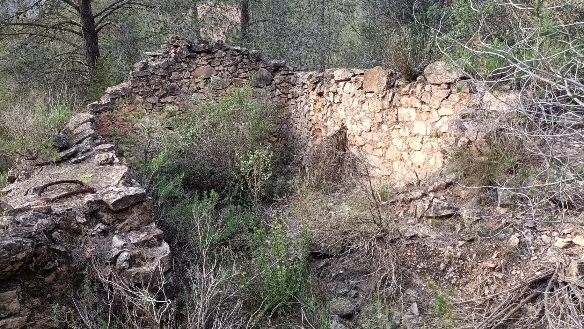 Terreno rustico in vendita a Móra d'Ebre, imagen 10