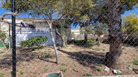 Foto 2 de Finca rústica en venda a Algorfa, Alicante