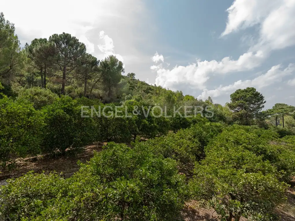 Houses for sale in Carcaixent  with Heating, Private garden and Terrace