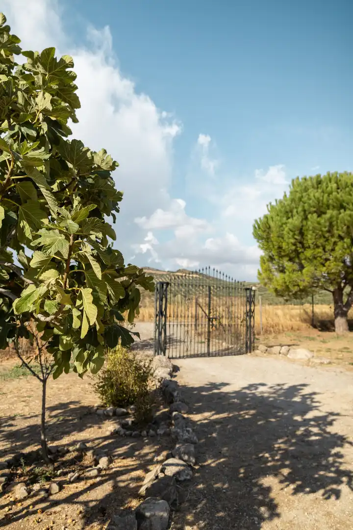 Lands and plots for sale in Bobadilla - Bobadilla Estación - La Joya, imagen 29