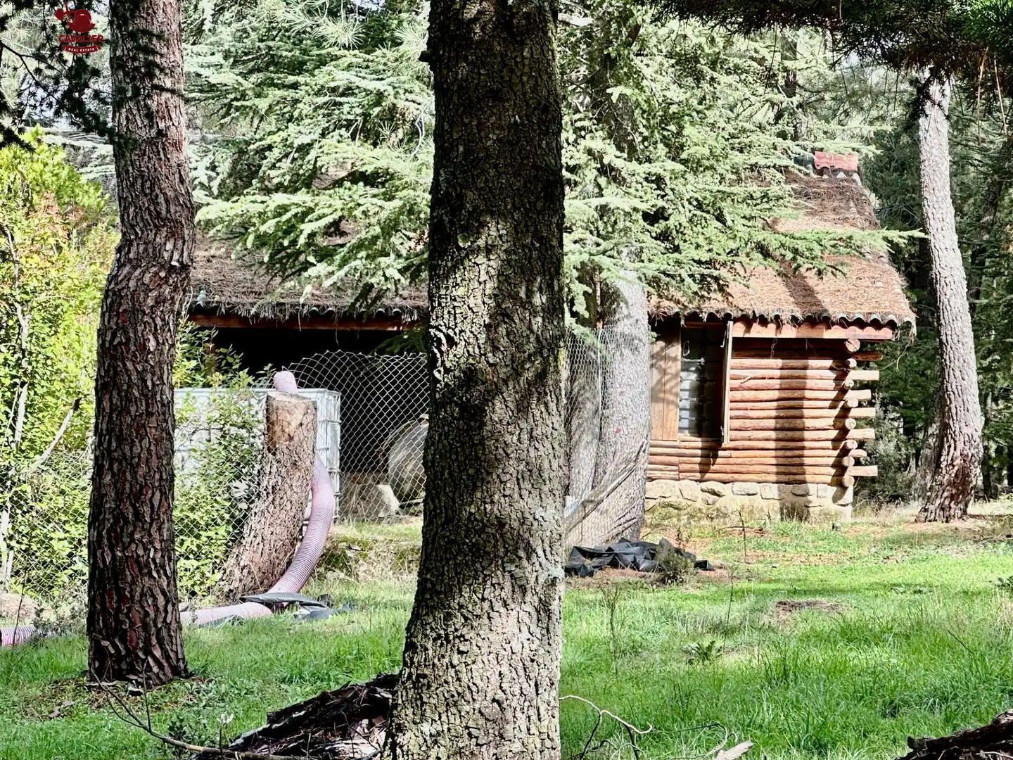 Terreno rustico in vendita a Los Molinos, imagen 11