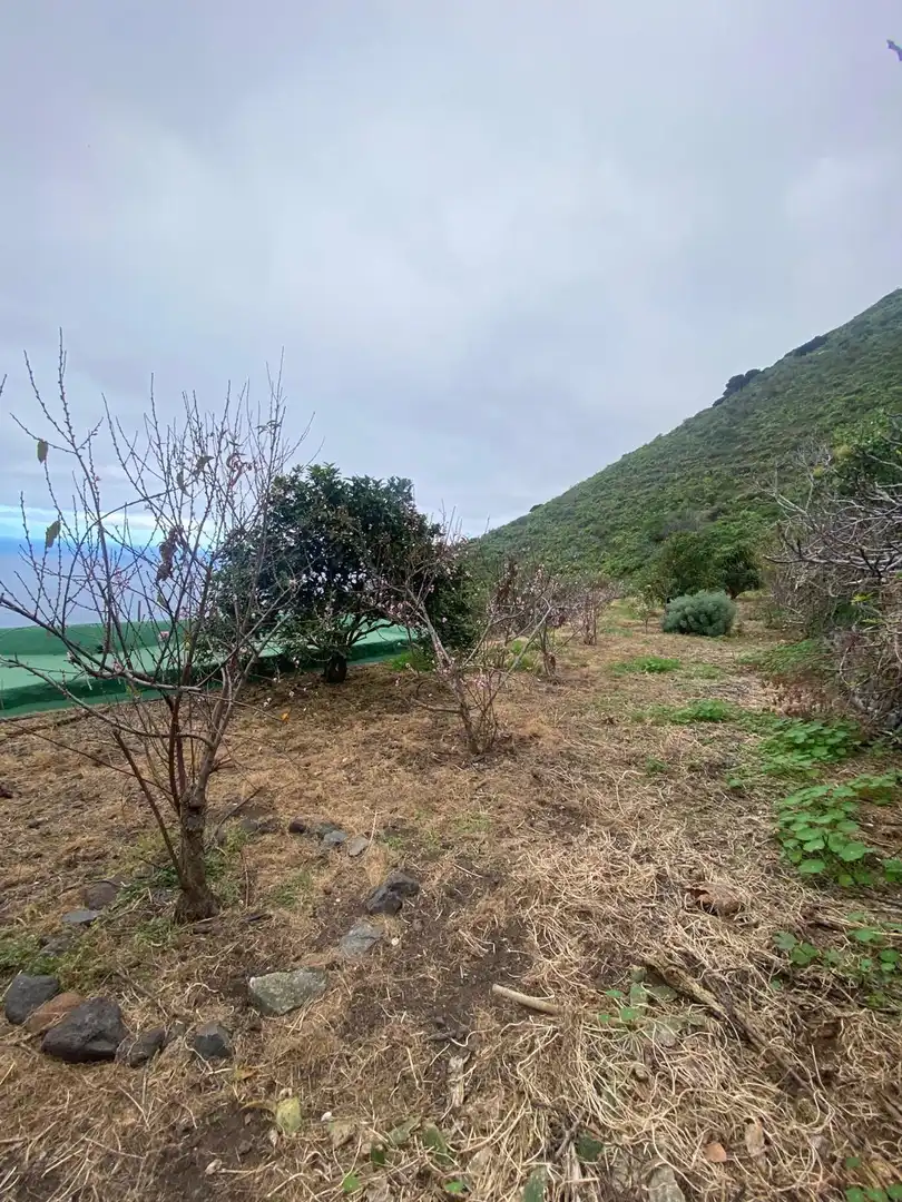 Casa o xalet en venda en Frontera amb Jardí privat