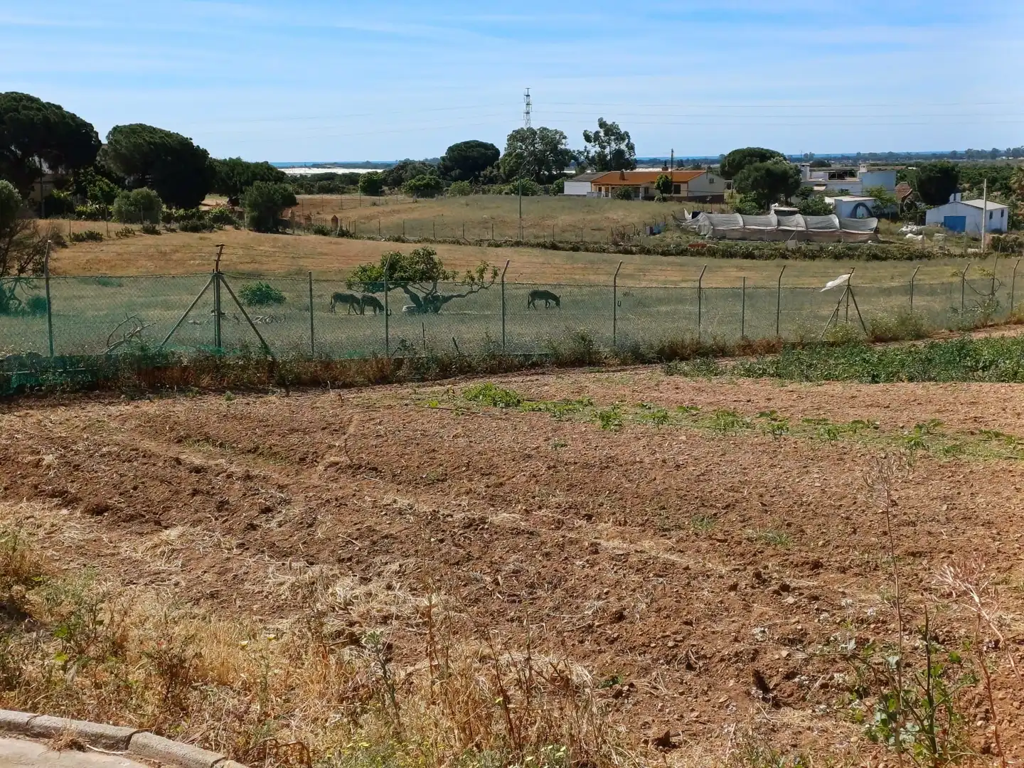 Finca rústica en venta en Isla Cristina con Jardín privado