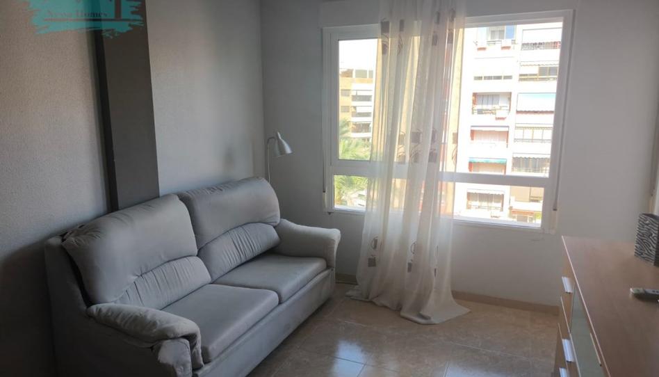 Photo 1 of Flat to rent in N/a, Campello Playa, Alicante