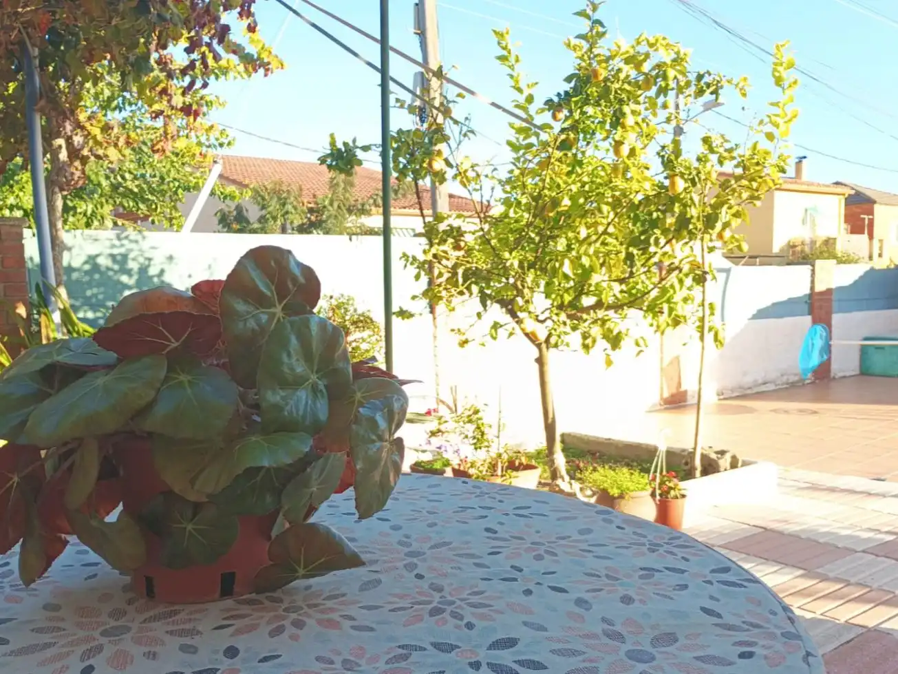 Jardín de Casa o chalet en venta en Piera con Terraza y Piscina