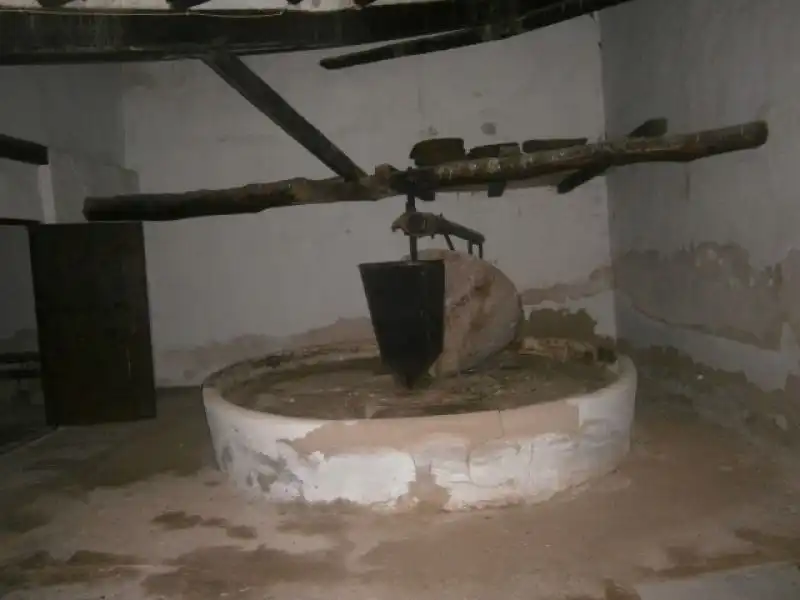 Casa rustica con giardino in vendita a Monóvar  / Monòver, imagen 55