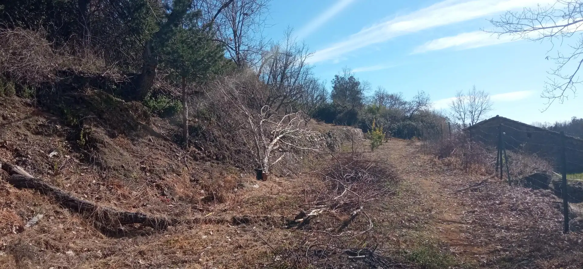 Terreni e lotti in vendita a EX-203 7, imagen 7