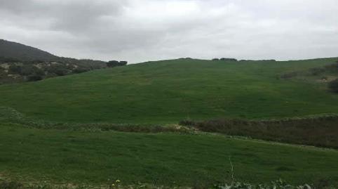 Photo 3 of Land for sale in Sierra del Valle y la Dorada, Fr 15, San José del Valle, Cádiz