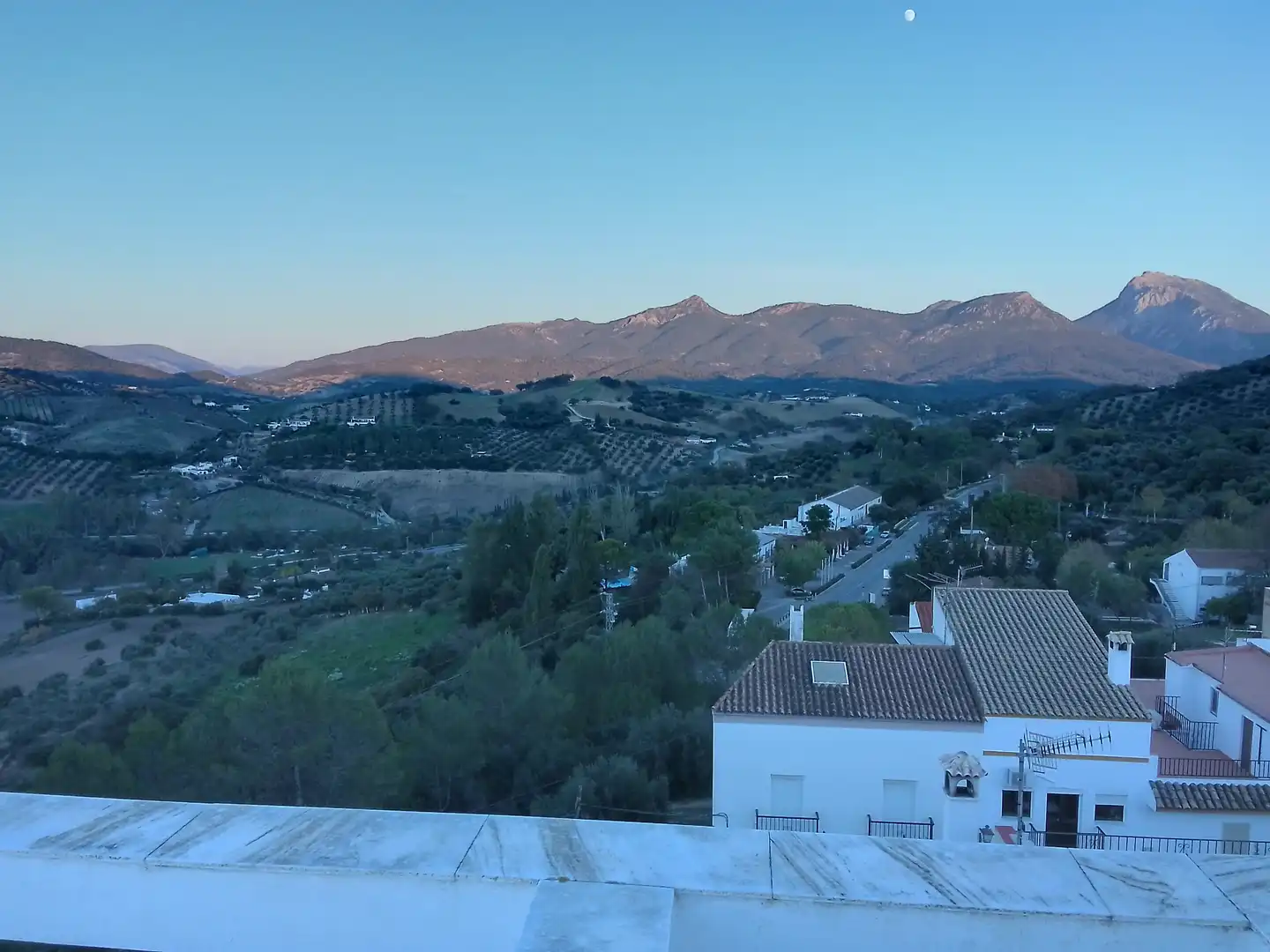 Vista exterior de Casa o chalet en venta en Prado del Rey con Jardín privado, Terraza y Amueblado