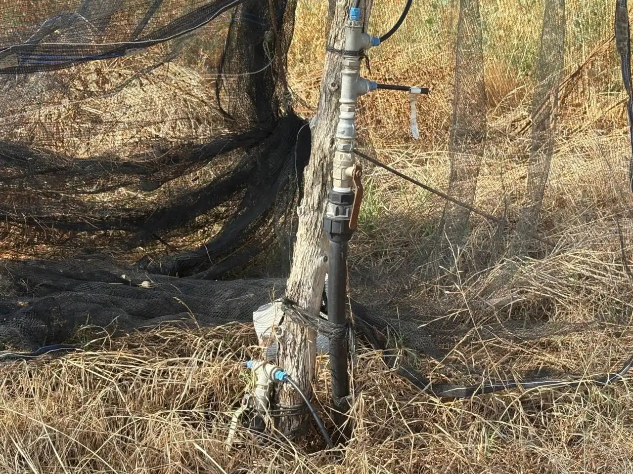 Terreny rústic en venda a Carretera Valfarta, Monzón,, imagen 5