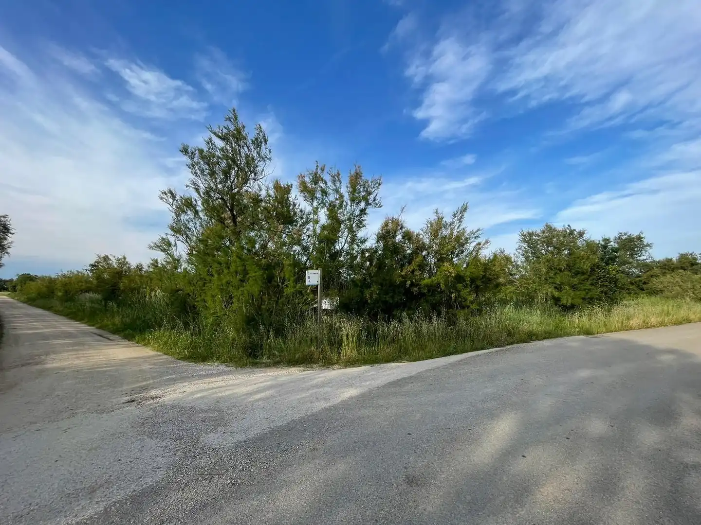 Rural land for sale in Sant Pere Pescador, imagen 25